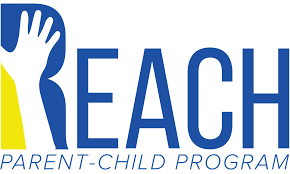 問專家:reach認(rèn)證限制物質(zhì)和候選名單之間的區(qū)別